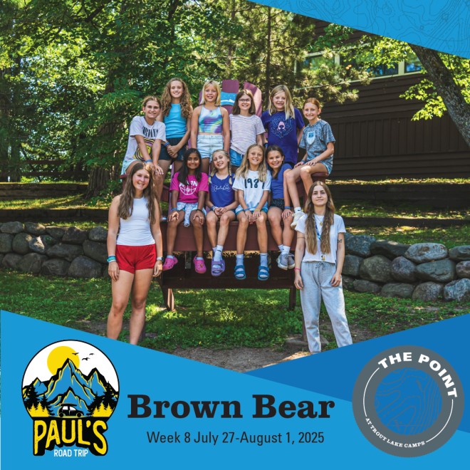 Brown Bear